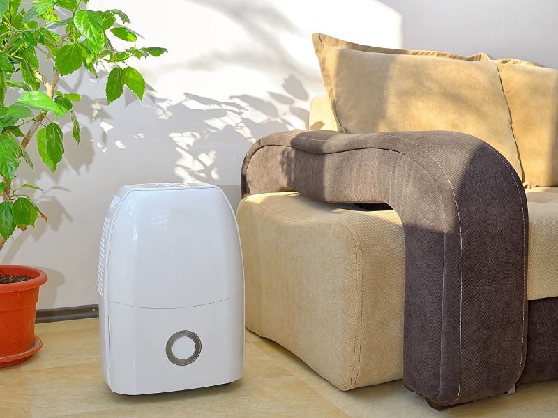 Getting dehumidifier for your house